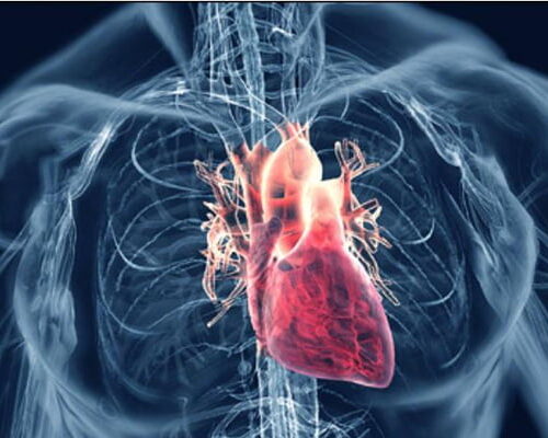 International Pharmaceutical Industry