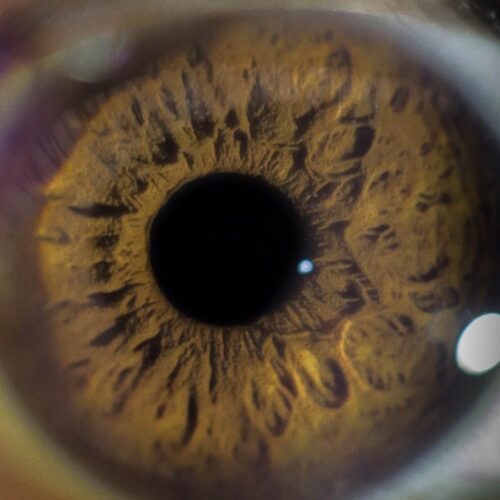 BELSON & SONS OPTOMETRISTS