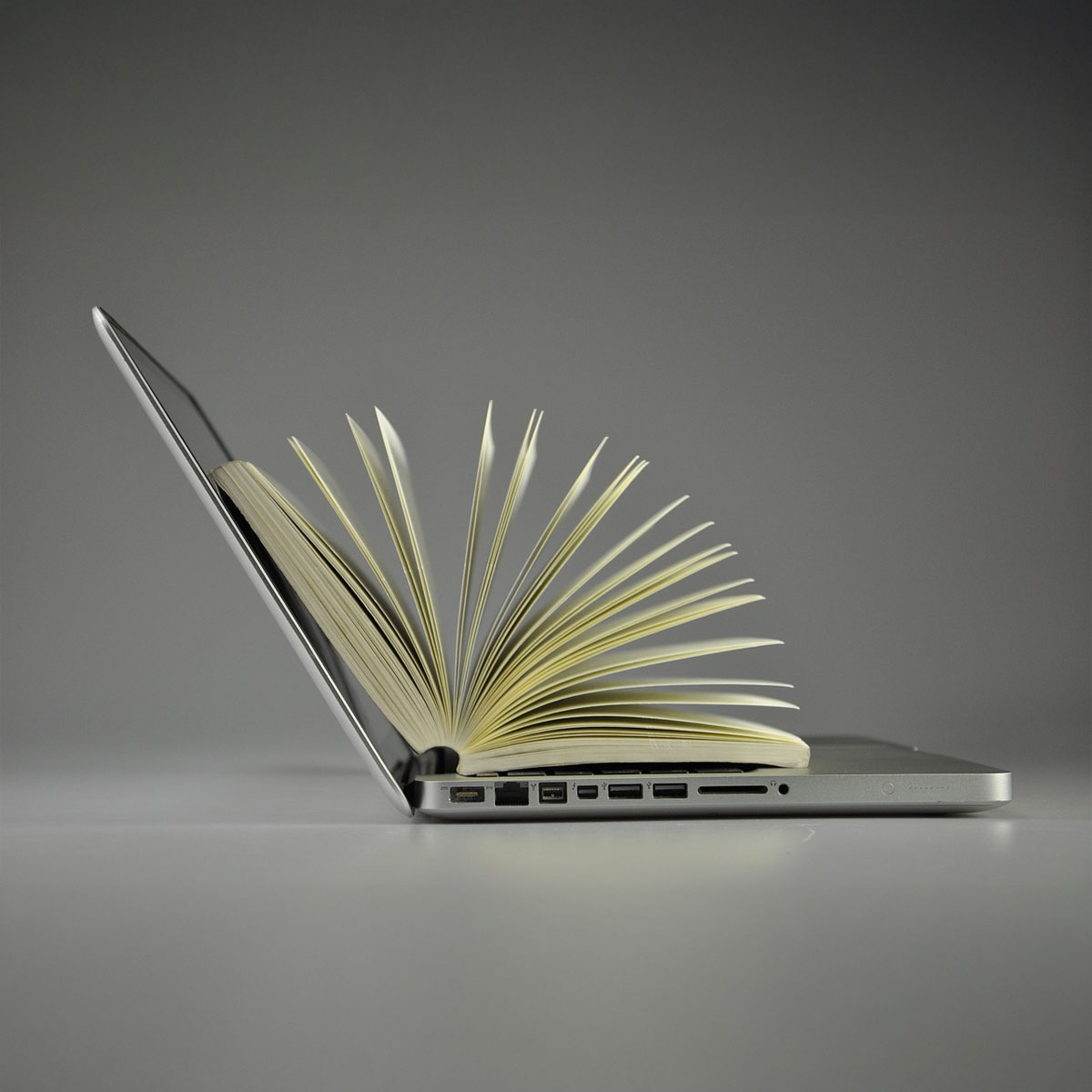 Business Directories in Local SEO: A 2025 Outlook